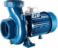 CG-1000 230-400V AC - Центробежный насос для ДТ GESPASA
